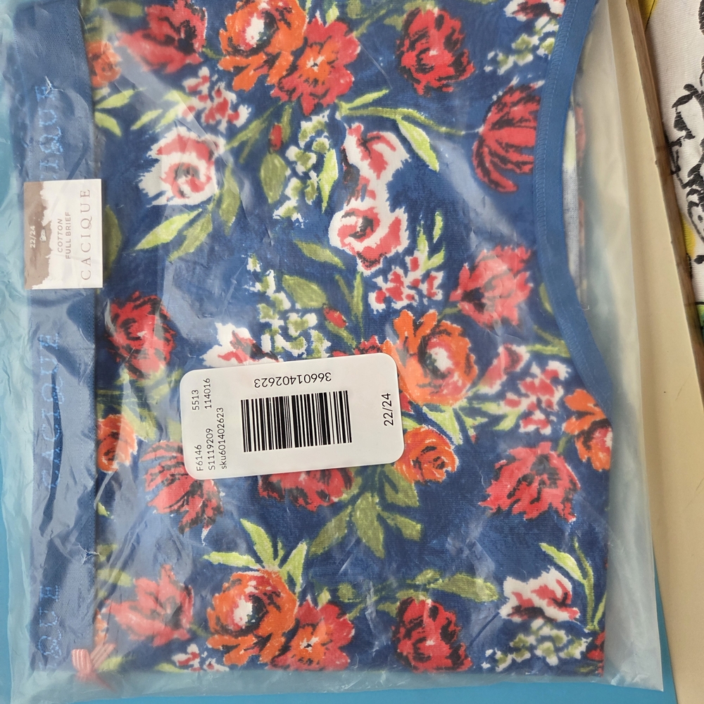 Cacique Blue Floral Panties